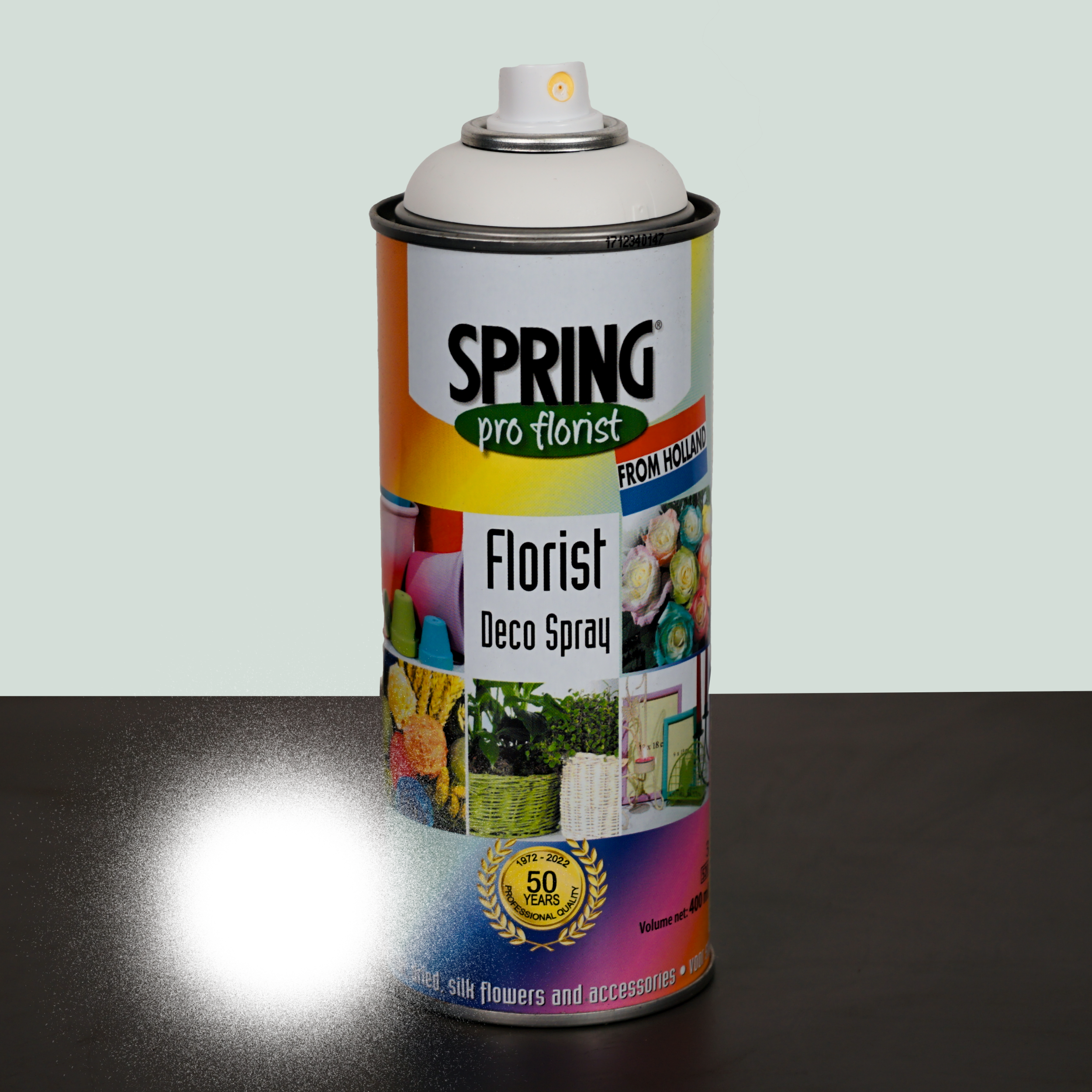 All Occasions Wholesale – wholesale Fresh cut flowers – Floral Spray Paint0
