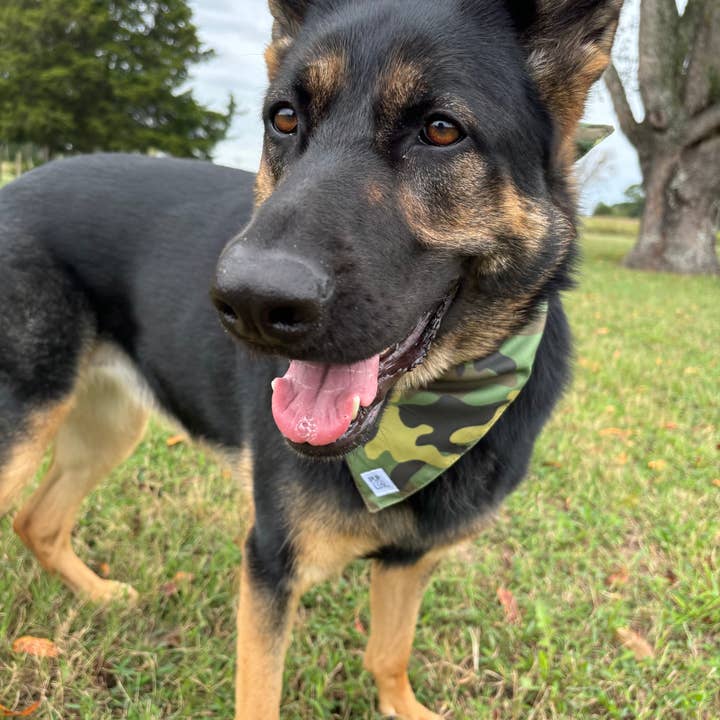 PUP LUX, LLC - Wholesale Pet Bandana - Dog - Into the wild bandana