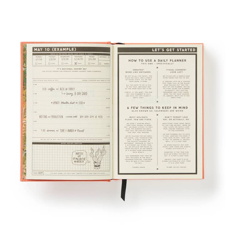 Chronicle Books - Wholesale Planner - Brass Monkey Part-Time Adult Undated Daily Planner