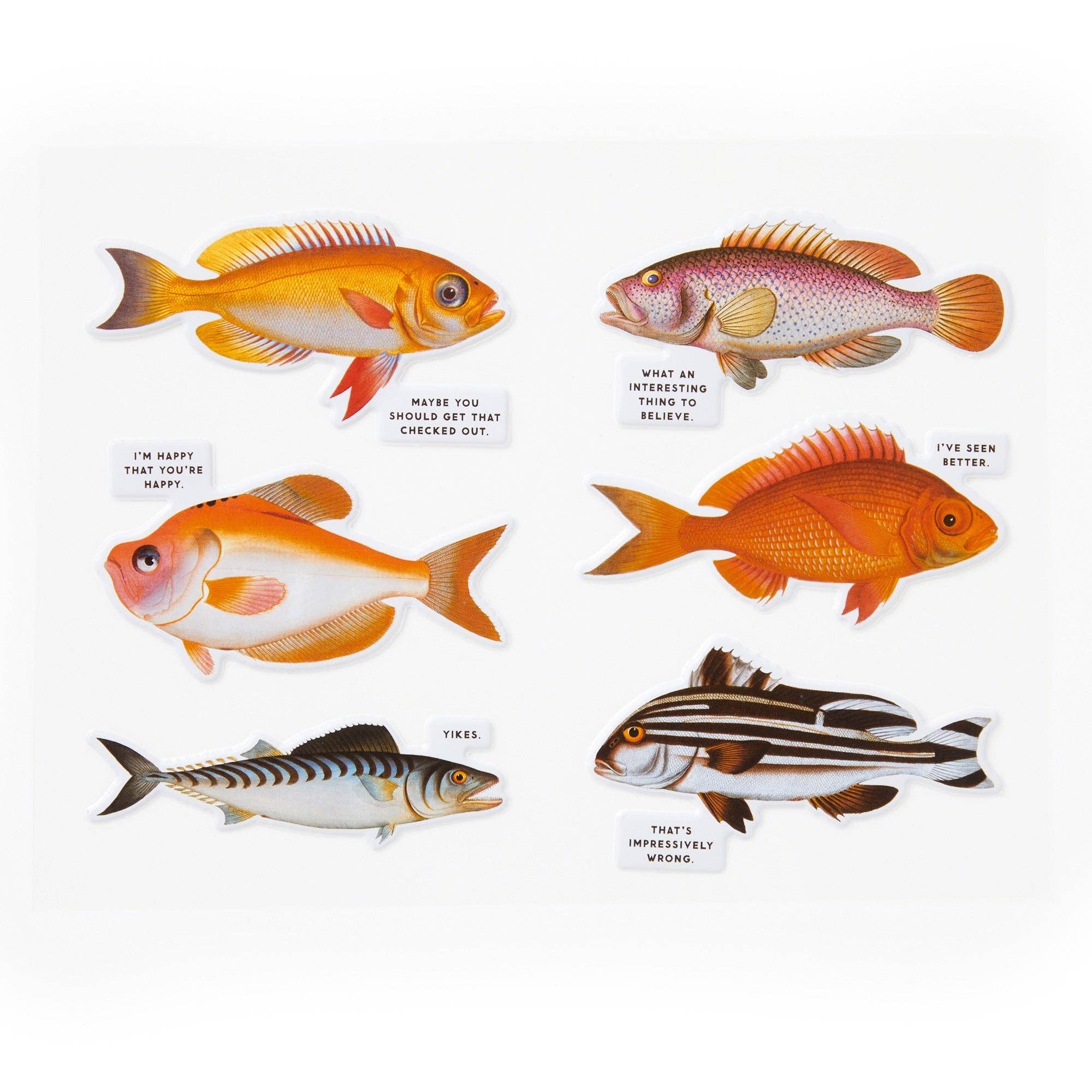 Chronicle Books - Wholesale Puzzle - Adult - Brass Monkey Judgy Fish 1000 Piece Puzzle6