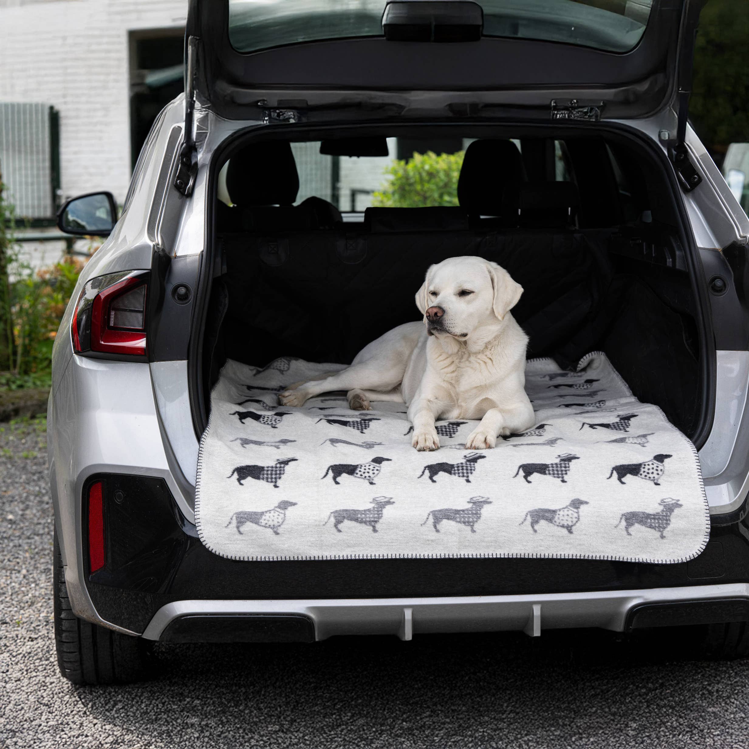 LABONI - Volentis GmbH - Venta al por mayor Edredón - Gatos y perros - TECKEL - MANTA DACHSHUND7