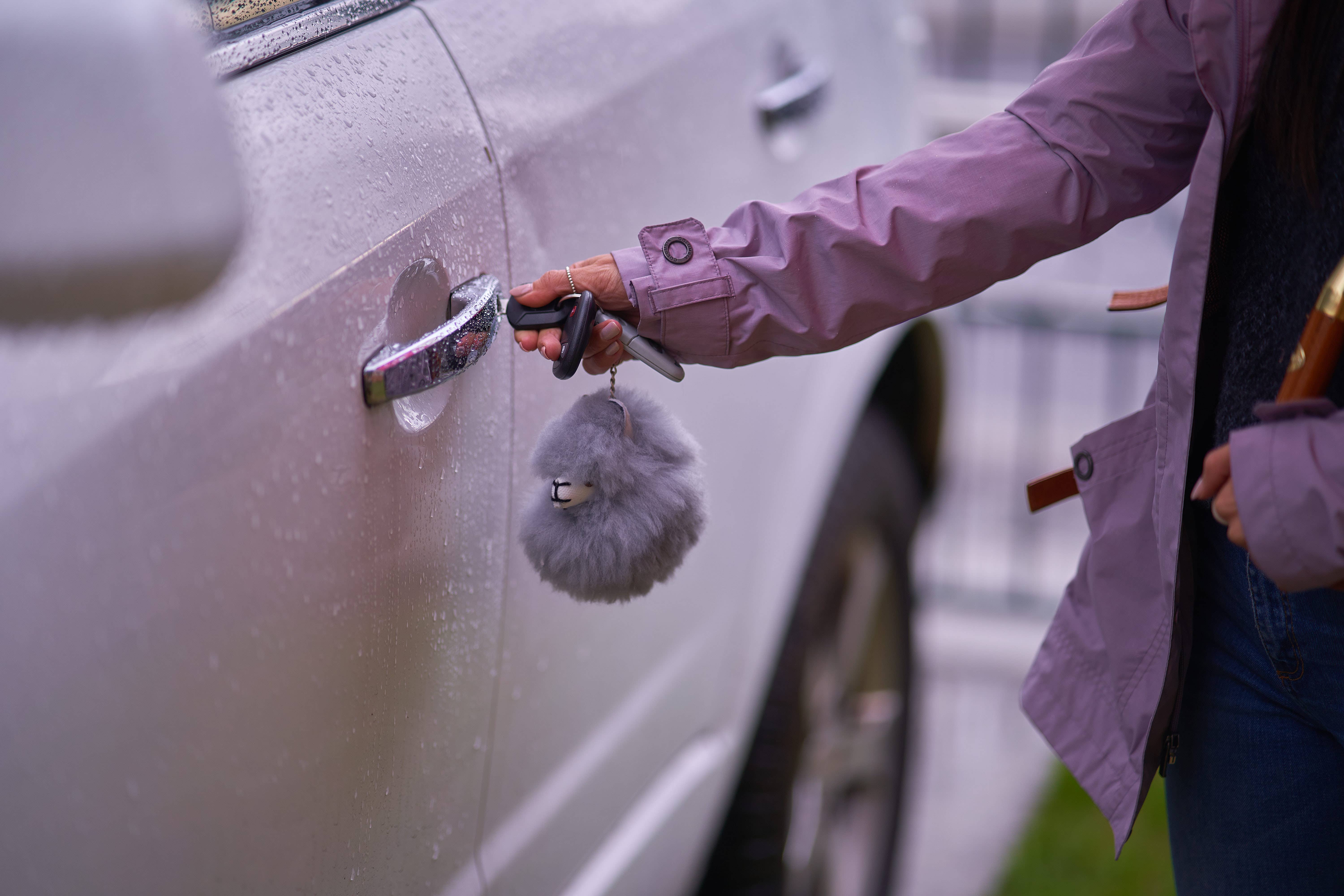 Terra Natural Designs - Venta al por mayor Llavero - Unisex - Llavero de alpaca con pompones en forma de cabeza de llama - Juego de 47