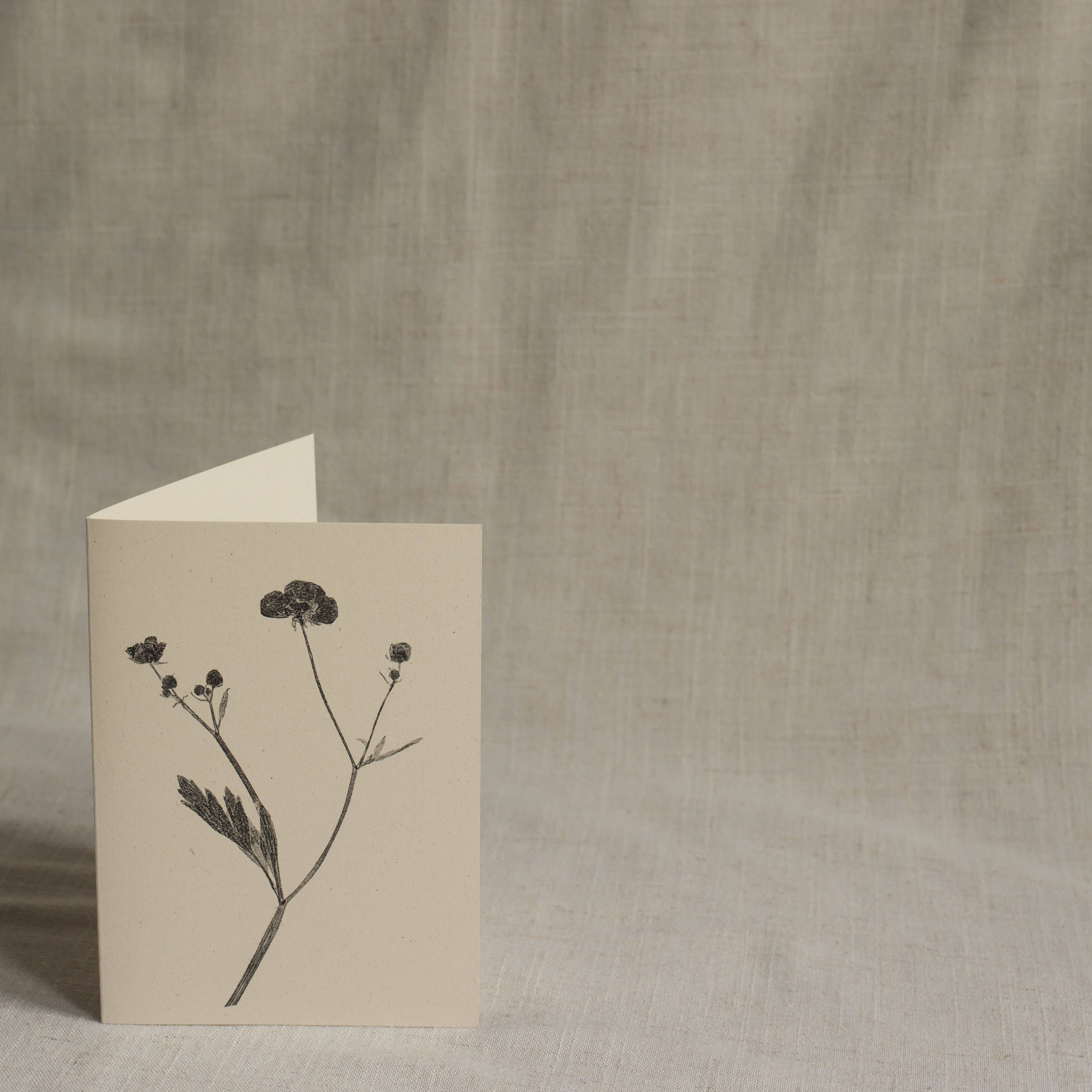 Alicia Breakspear – wholesale Everyday greeting card – Meadow Buttercup Flower Greeting Card A6 Recycled Card2