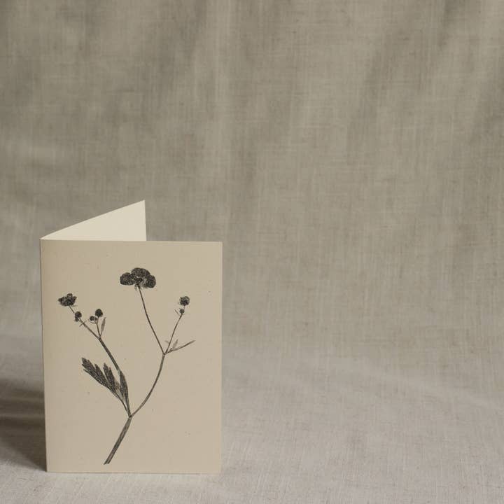 Alicia Breakspear - Wholesale Everyday greeting card - Meadow Buttercup Flower Greeting Card A6 Recycled Card2