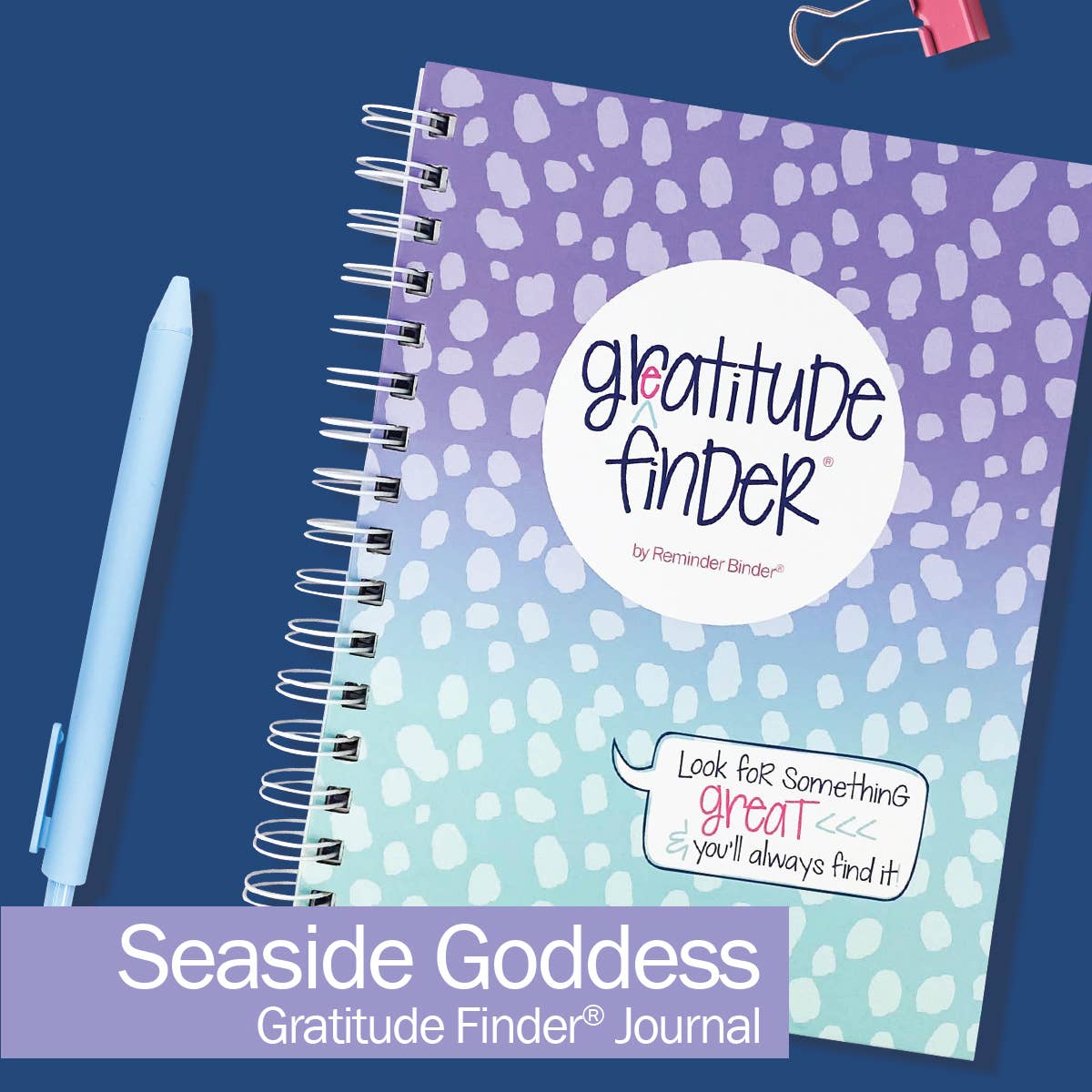 Denise Albright® - Wholesale Journal/Diary - Gratitude Finder® Journals | Open Stock21