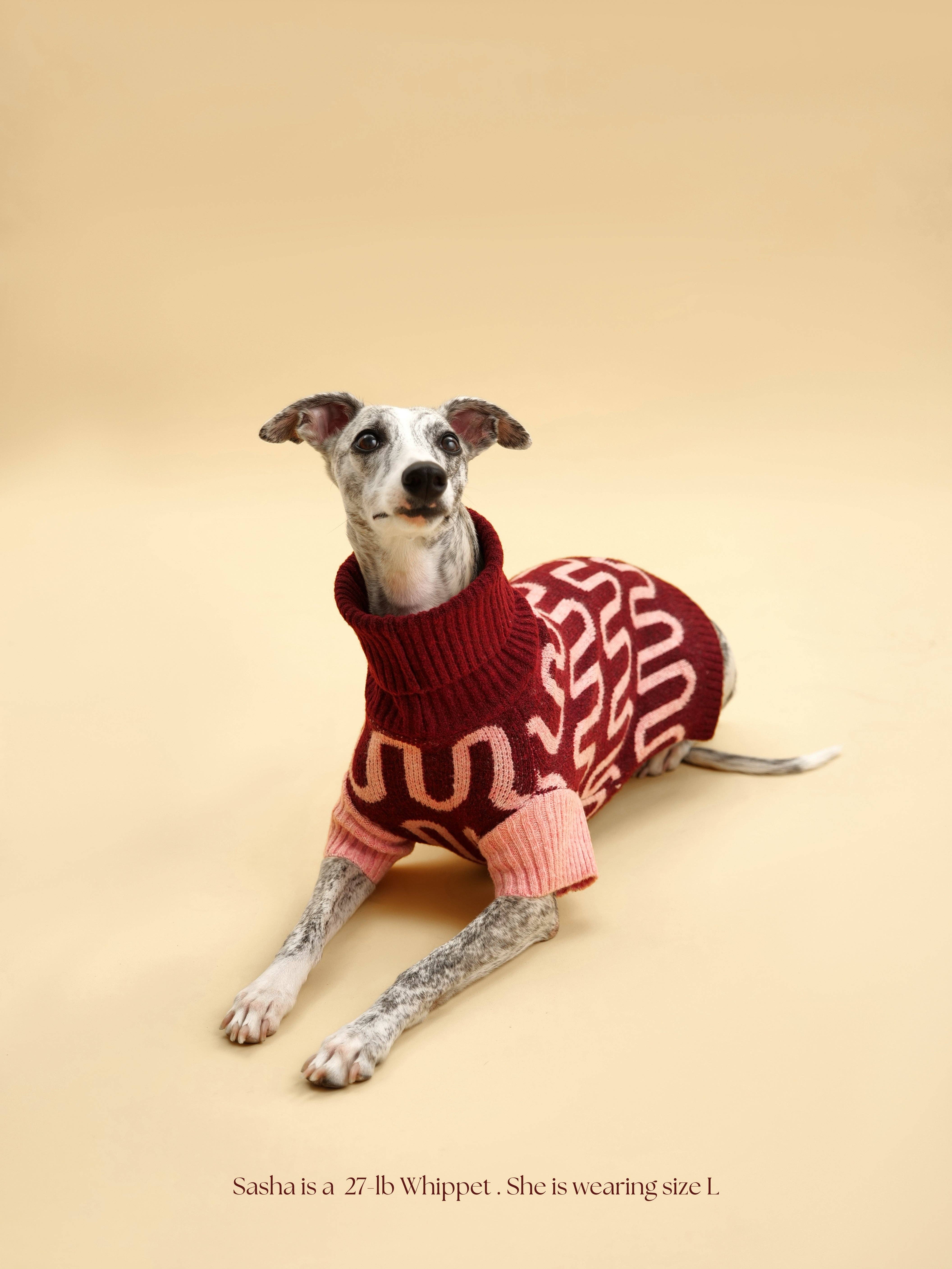BarkBarkBaby - Wholesale Pet Sweater - Dog - Rosé Bliss Sweater1