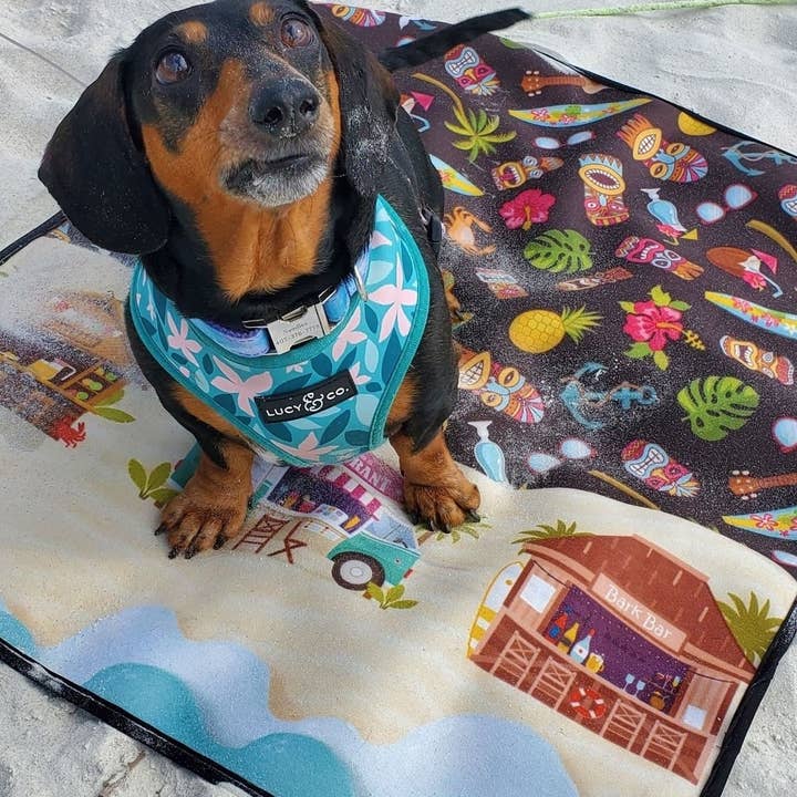 WagAround Travel Mat - Medium 24" x 28" for wholesale by Wag Around Town