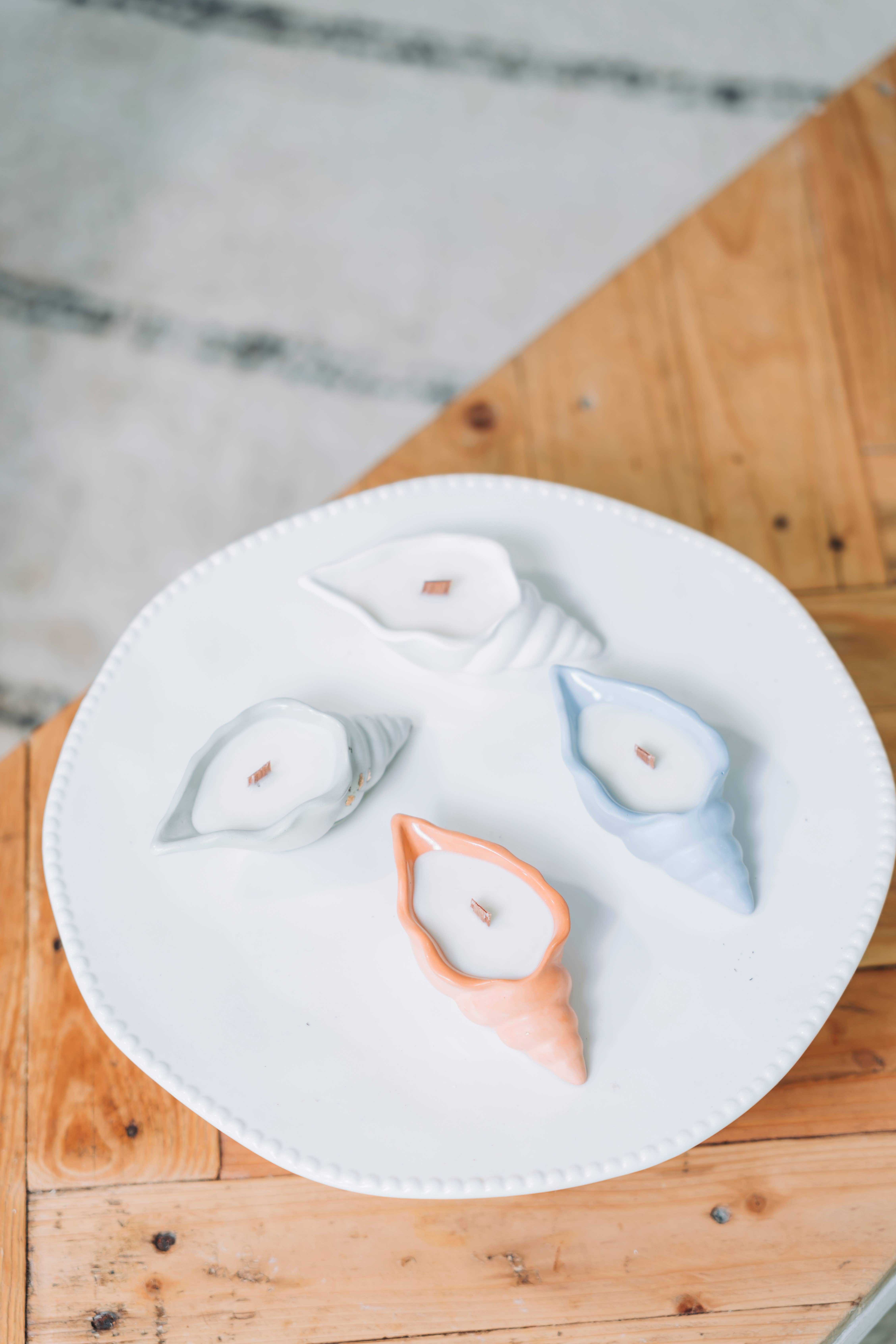 Agua Benta - Vente Bougies originales - Bougie coquillage Caranguejo5