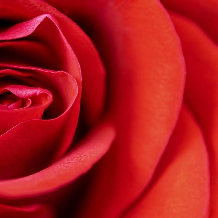 Zia Zensations Inc. - Wholesale Fragrance Oil - Resort Series Premium Fragrance Oils9