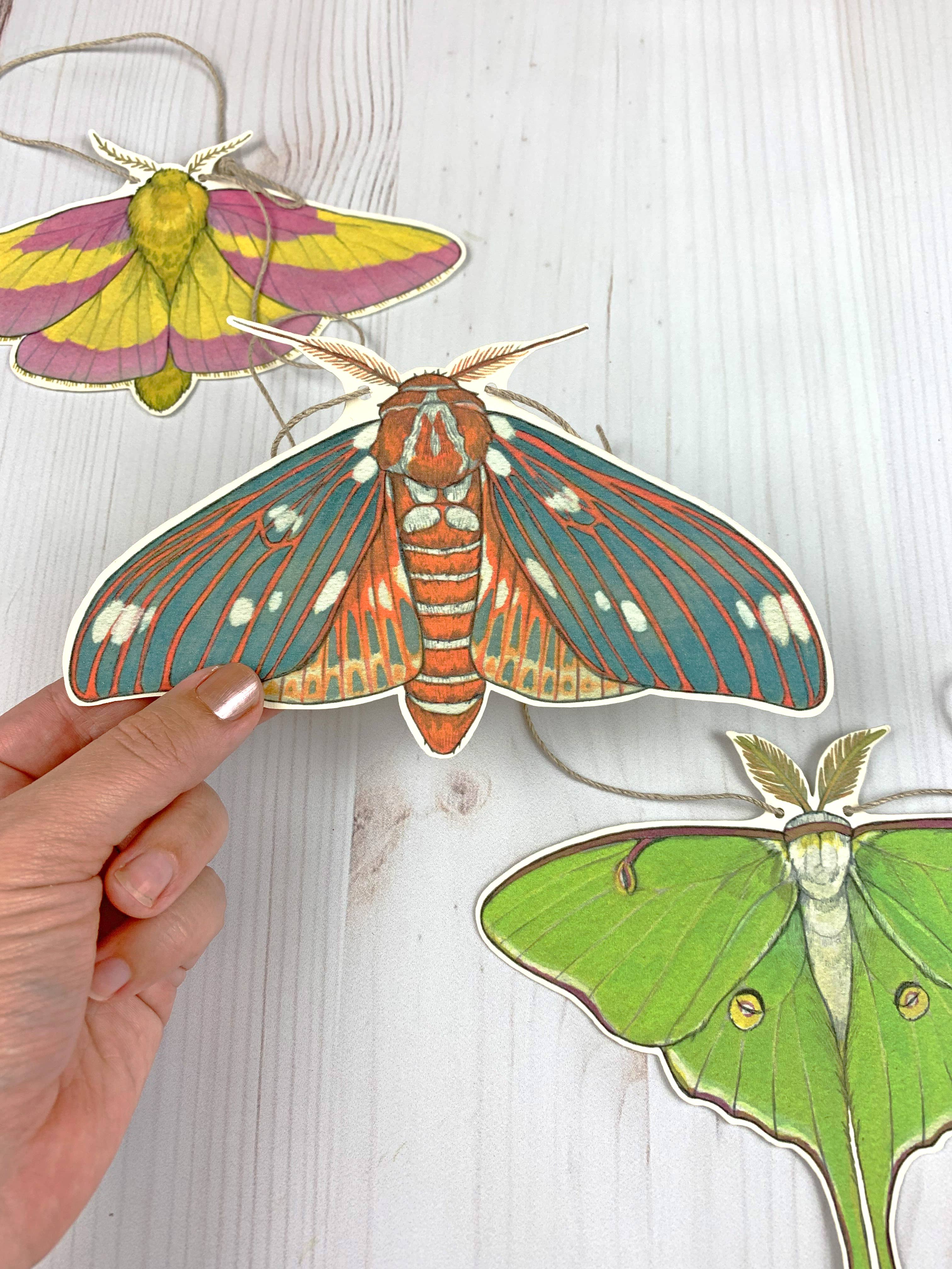 Sarah Draws Things - Wholesale Bunting/Garland - Colorful Moth Illustrated Garland3