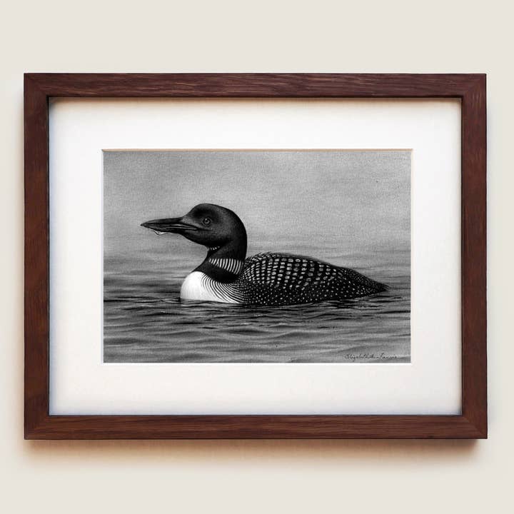 Common Loon | Fine Art Print for wholesale by ElizabethAnnFrancis