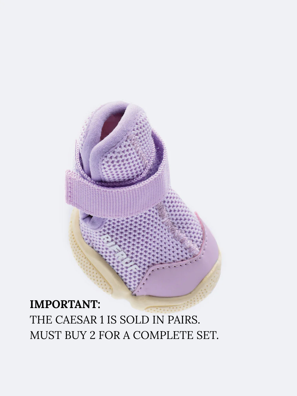 RIFRUF - Vente Bottines – chien - César 13