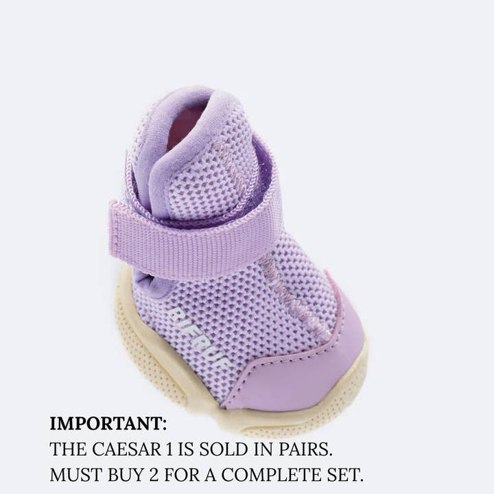 RIFRUF - Vente Bottines – chien - César 13