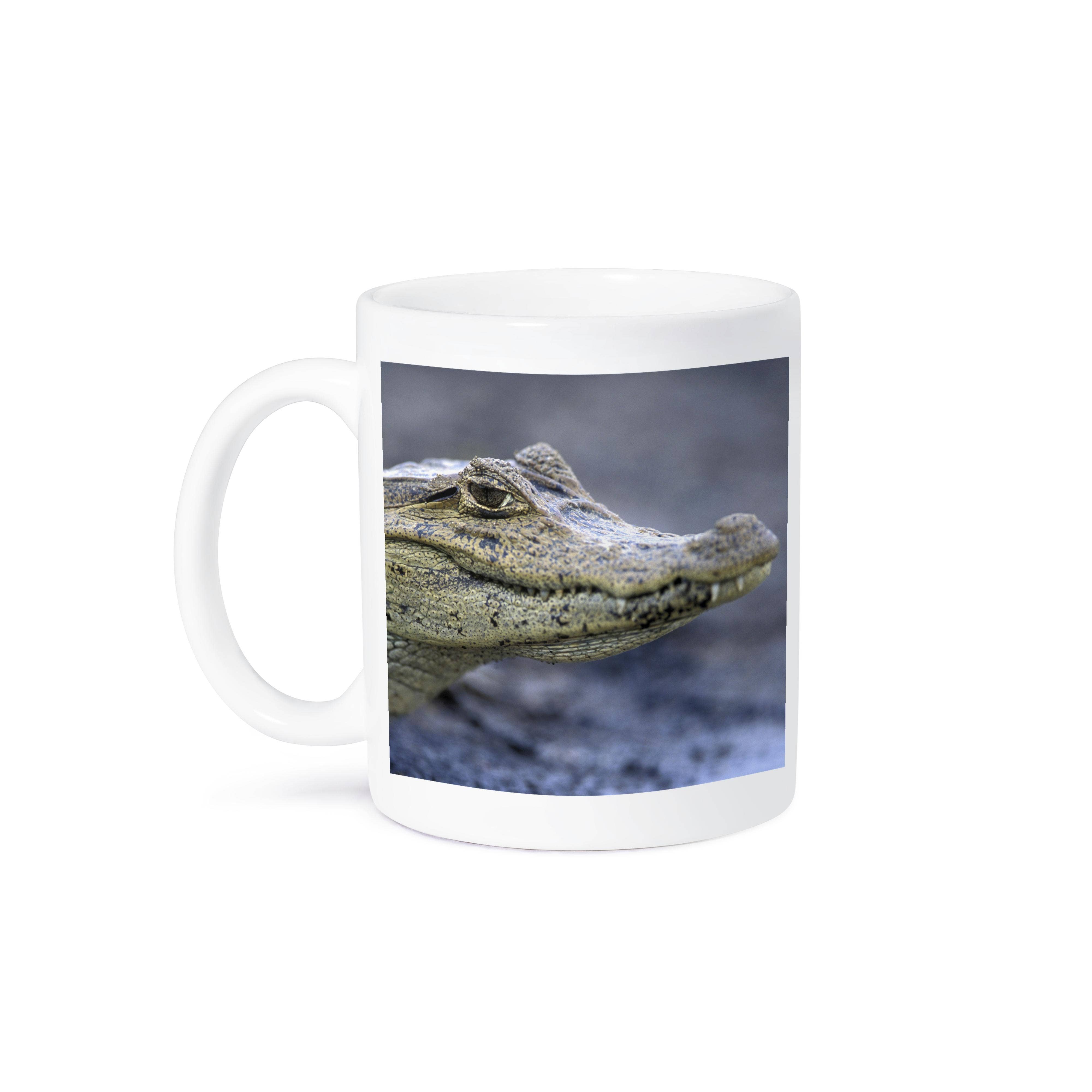 3dRose - Wholesale Coffee Mug - 3dRose, Costa Rica, Cano Negro, Spectacled Caiman crocodile - SA22 PSO0013 - Paul Souders, Mug8