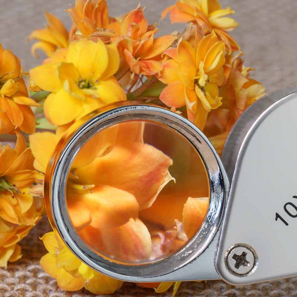 Heebie Jeebies - Wholesale Magnifying glass - Field Magnifier Heebie Jeebies Mini Pocket Magnifier1