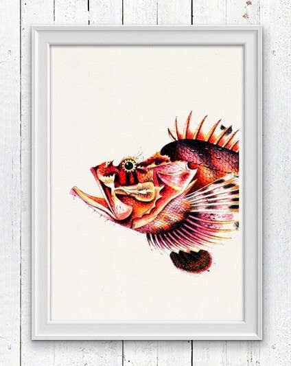 PRRINT! – wholesale Art print – Sea Fish Monkfish