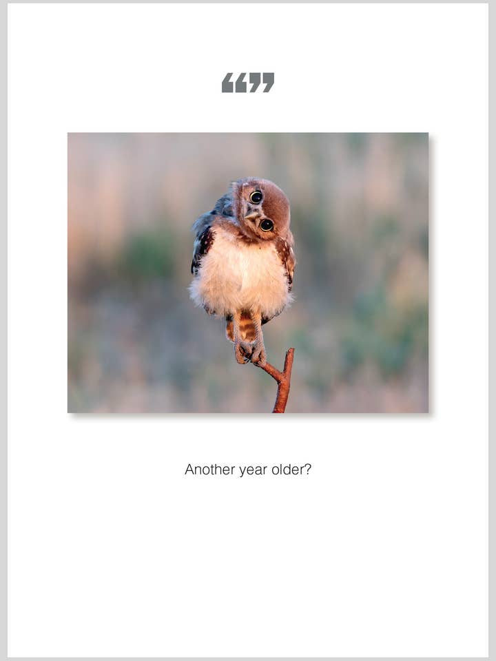 Year older Birthday Greeting Card for wholesale by The Borealis Press Inc