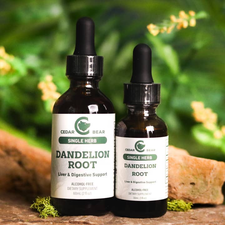 Cedar Bear Naturales - Wholesale Oral Supplement/Vitamin - Dandelion Root (Single Herb)1