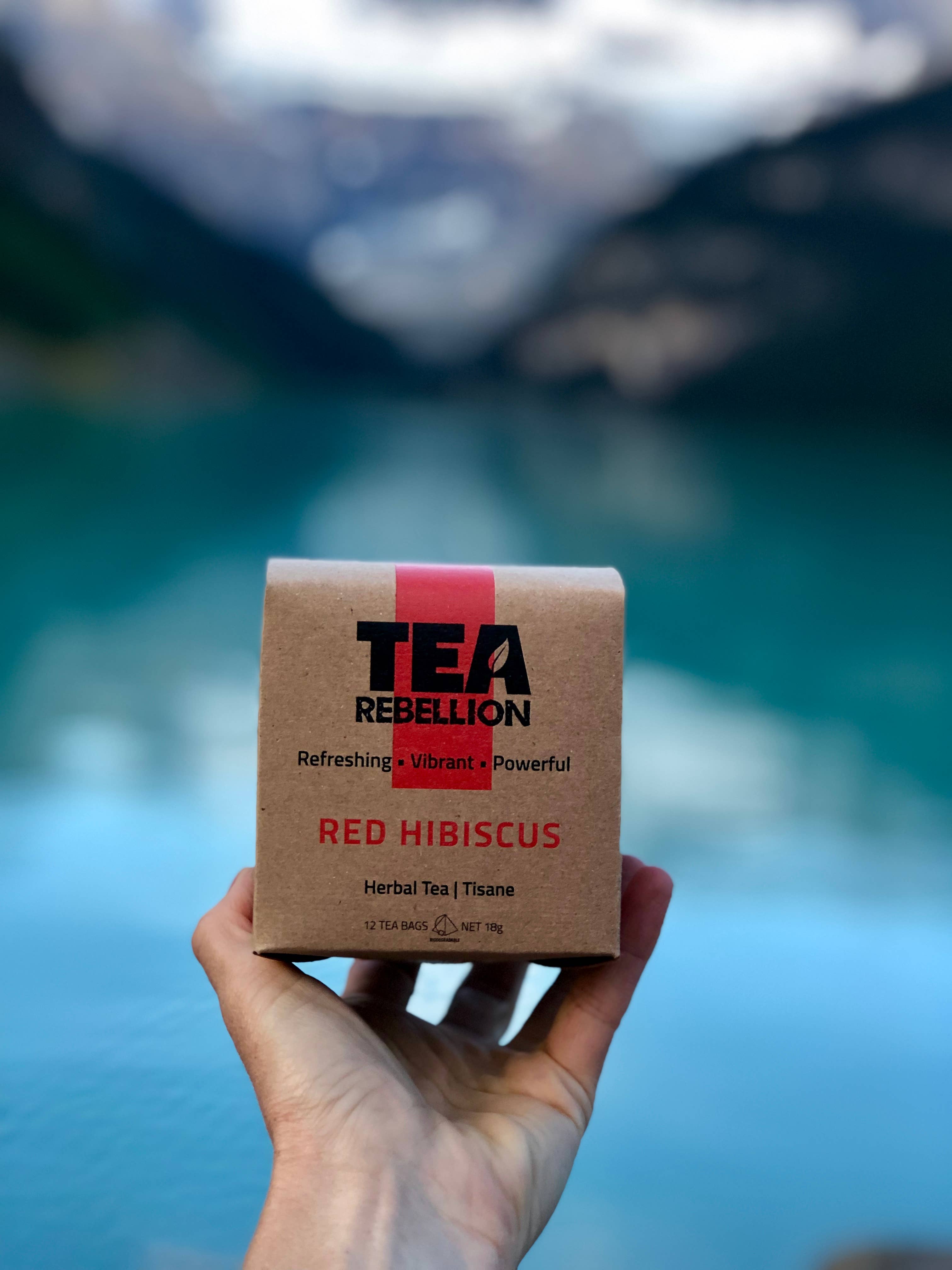 Tea Rebellion - Venta al por mayor Bolsitas de té - Hibiscus rojo - Té de Malawi | Bolsas pirámide biodegradables3
