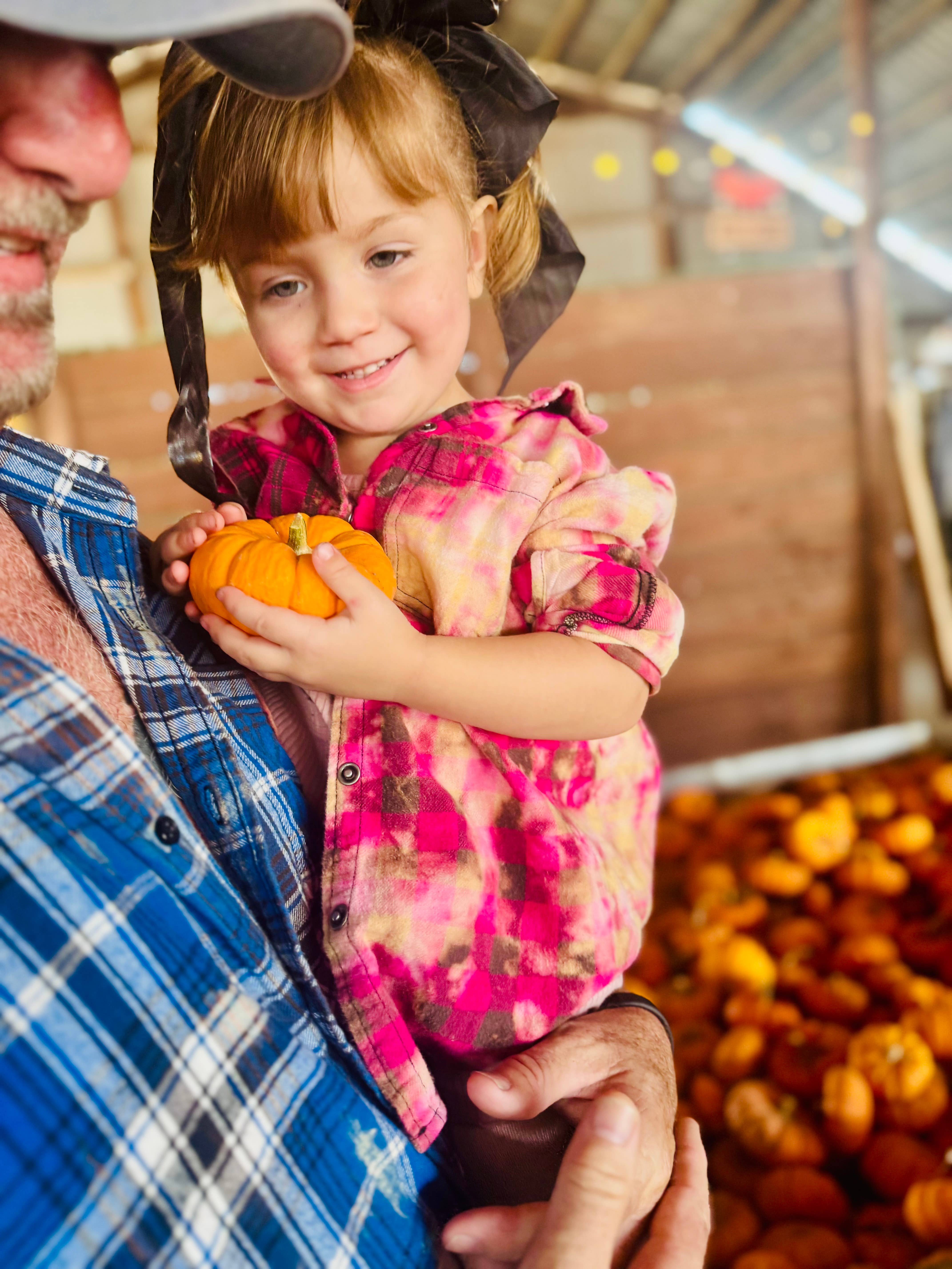 Slightly Distressed - Wholesale Button Down Shirt - Women's - Slightly Distressed Flannels 15