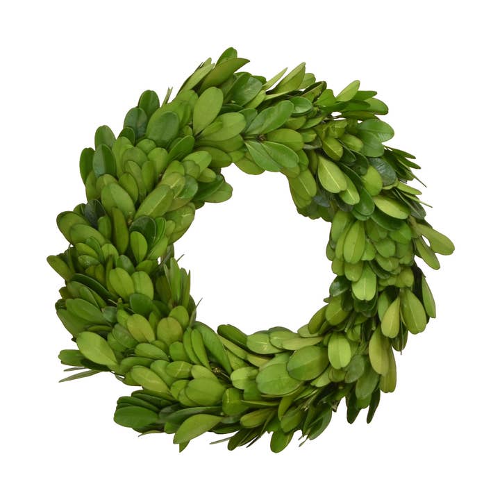 Mills Floral Company - Wholesale Wreath - Preserved Boxwood Candle Ring - 6 Inch0