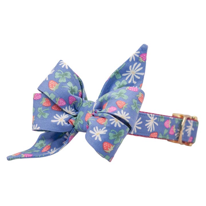 Strawberry Fields Belle Bow Dog Collar for wholesale by Crew LaLa
