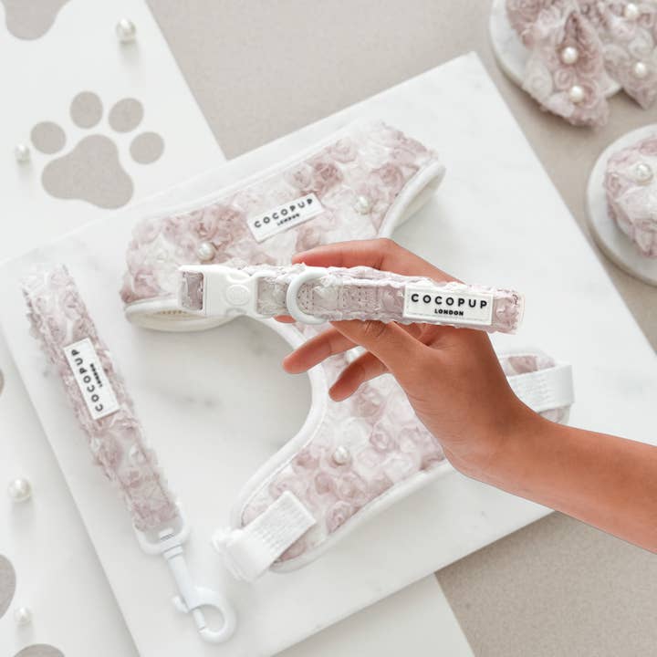 Pearly Pup COLLAR for wholesale by Cocopup London