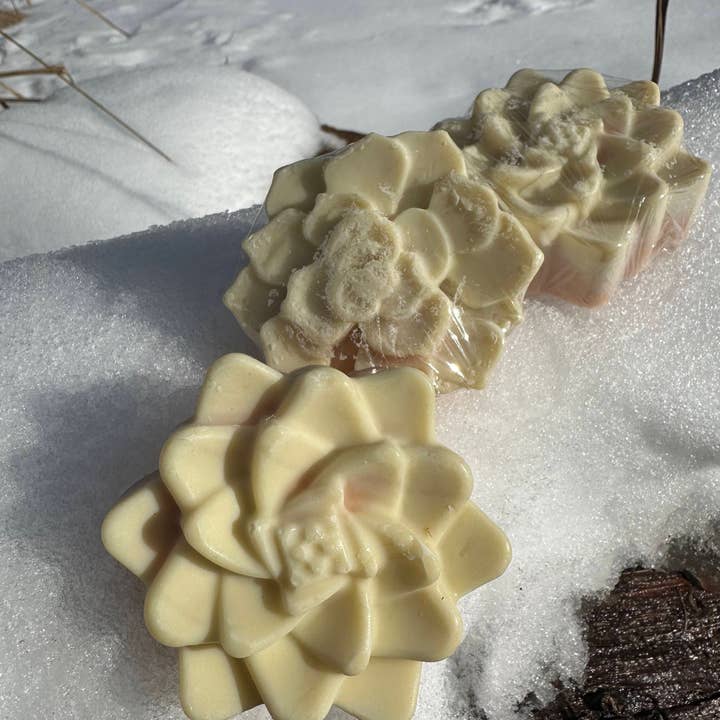 AVIVA TU LLC - Wholesale Bar Soap - Luffa Soap (Kaolin/French Pink Clay)2