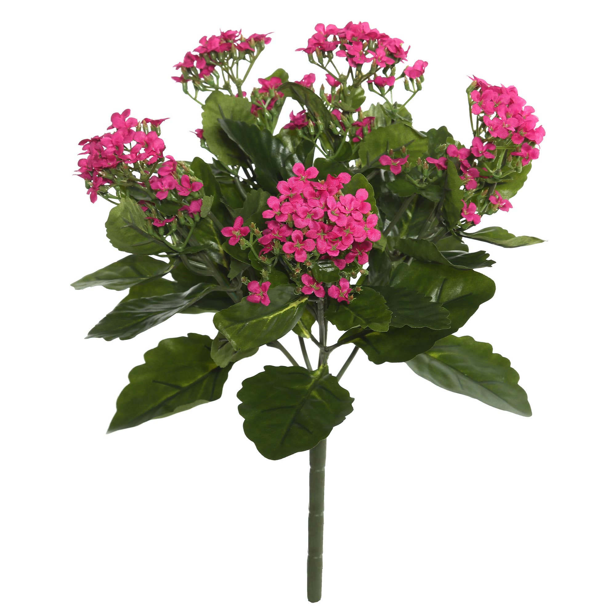 Vickerman 17.25" Artificial Hot Pink Kalanchoe Bush. for wholesale on Faire0