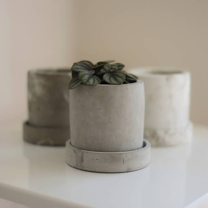 Concreates – wholesale Plant pot – Concrete Plant Pot | Cactus | Succulent | Planter | Monochrome Planter | Boho Decor | Boho Plant Pot1
