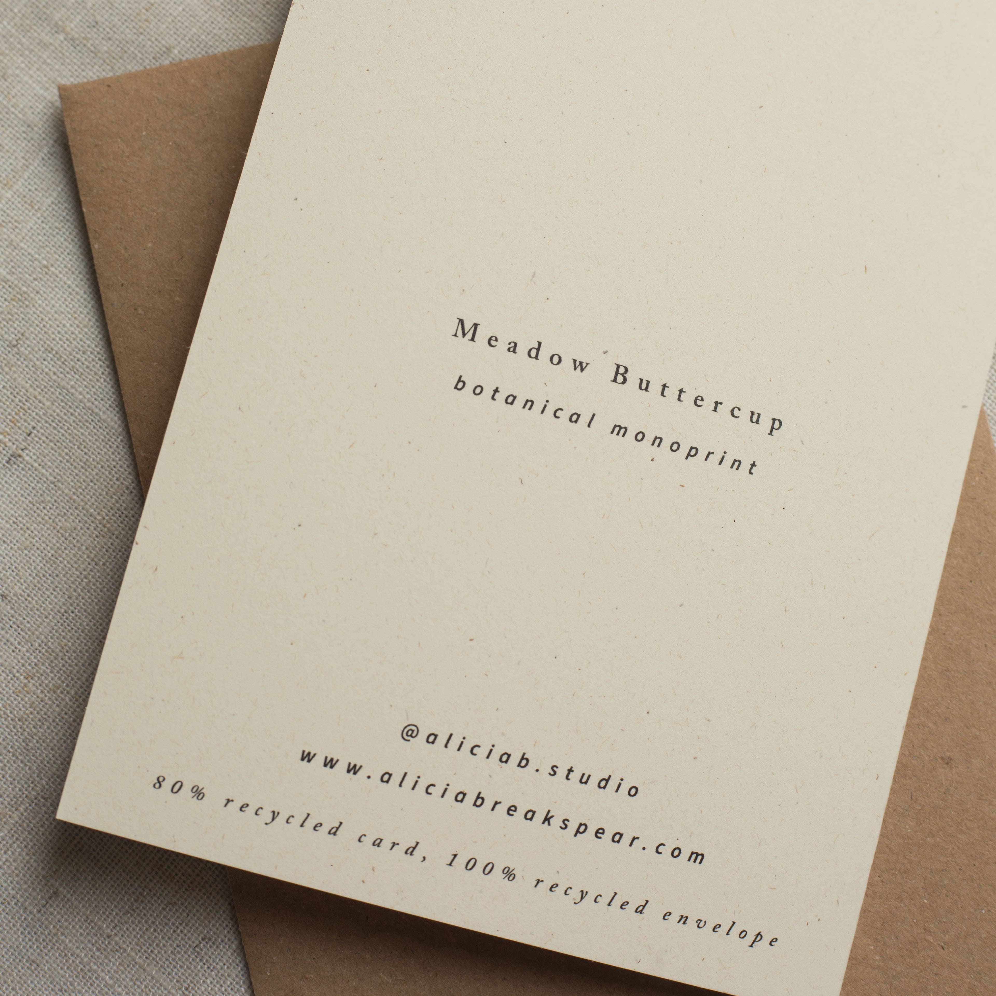 Alicia Breakspear – wholesale Everyday greeting card – Meadow Buttercup Flower Greeting Card A6 Recycled Card6