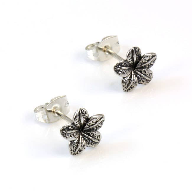 PB1653 voor wholesale door El Expreso de Oriente