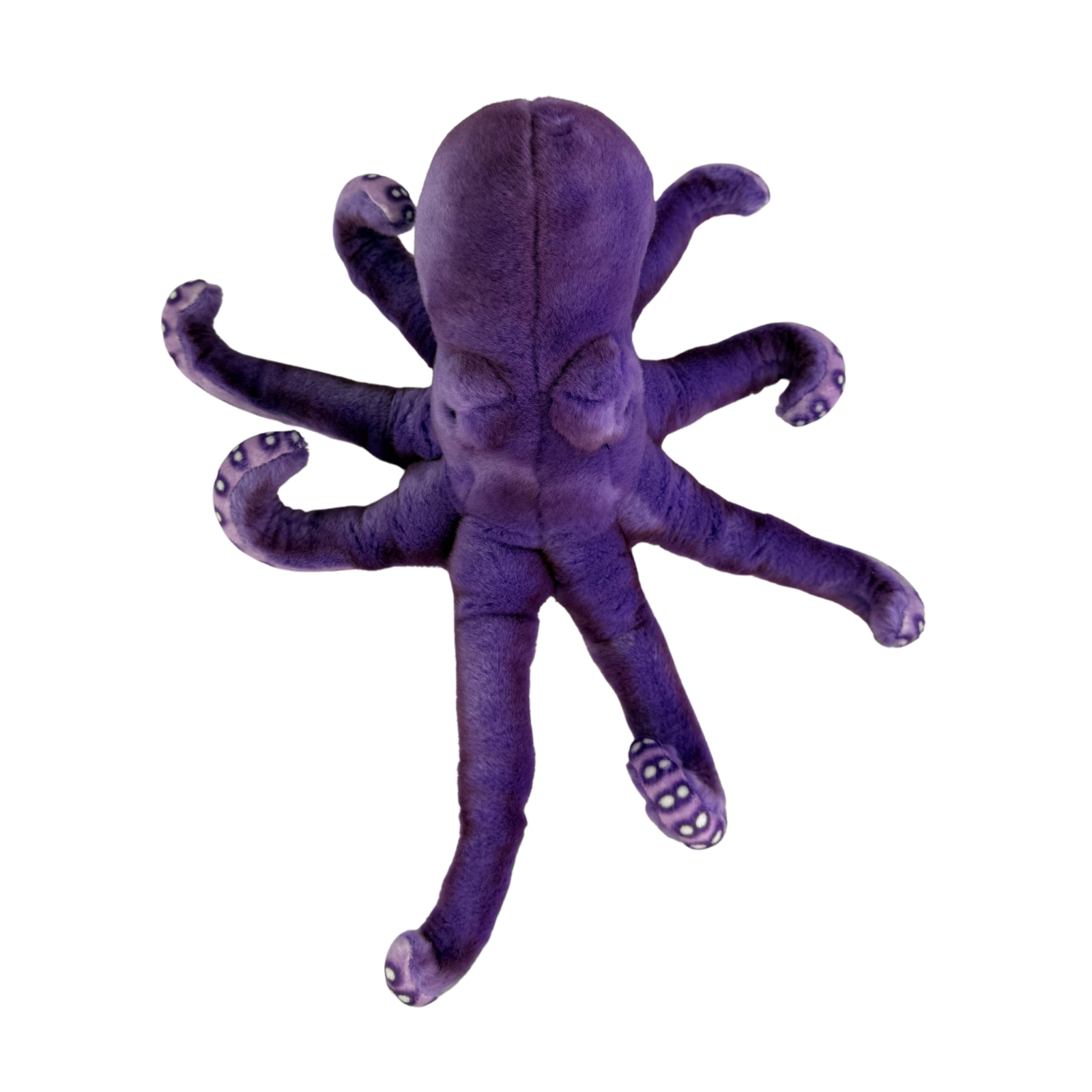 Bocchetta Plush Toys - Wholesale Stuffed/plush toy – Kids & baby - Nate - Octopus, purple - 32cm0