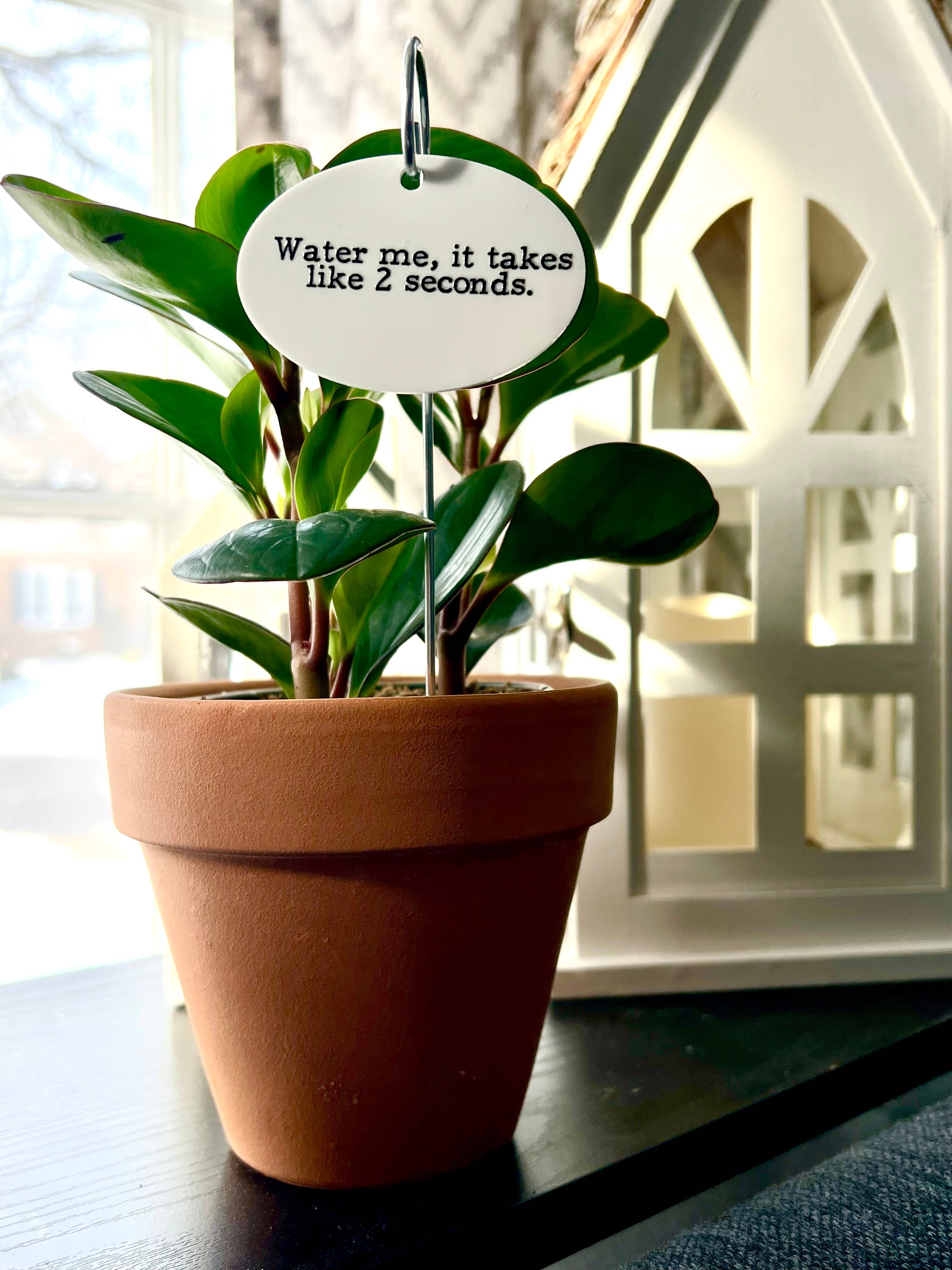 Buffalovely - Wholesale Garden/Lawn Stake - Water Me, It Takes Like 2 Seconds Flower Pot Plant Stake2