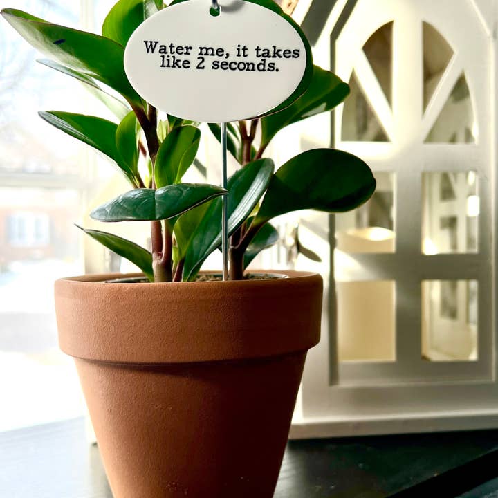 Buffalovely - Wholesale Garden/Lawn Stake - Water Me, It Takes Like 2 Seconds Flower Pot Plant Stake2