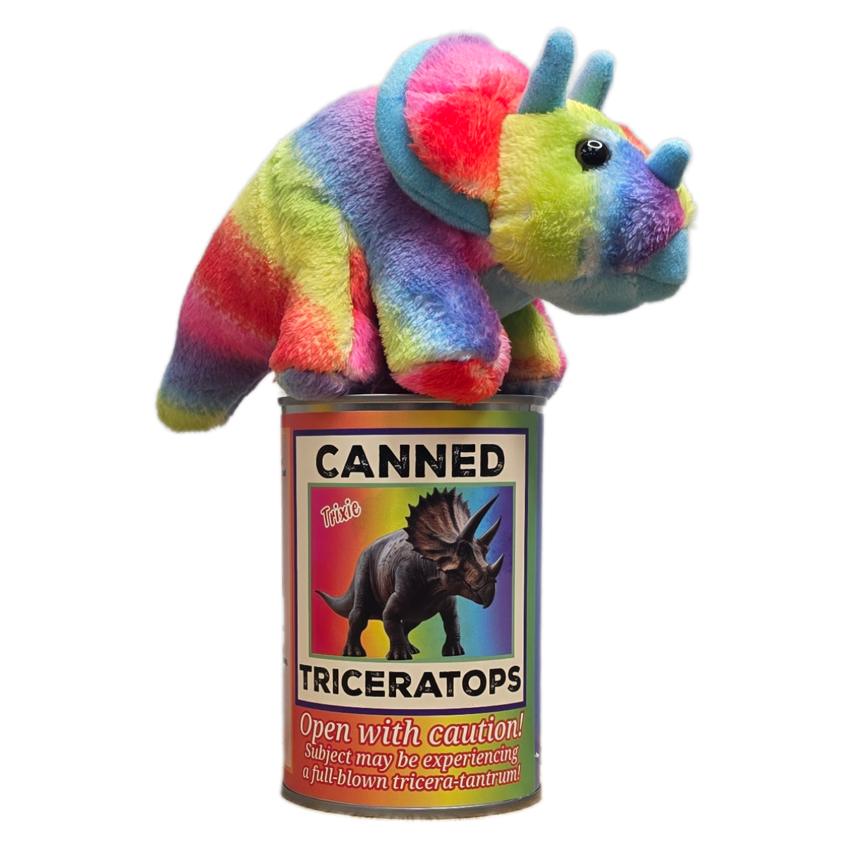 Canned Gifts – wholesale Stuffed/plush toy – Kids & baby – Trixie the Canned Rainbow Triceratops Dinosaur Plush w/Jokes5