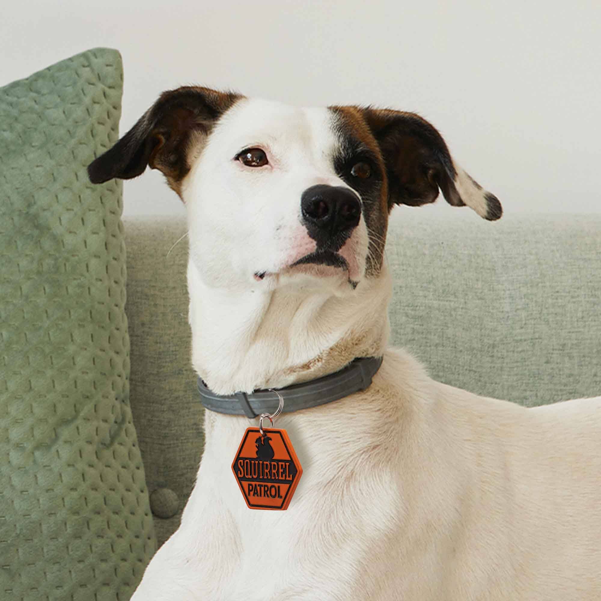 Open Road Brands, LLC - Vente Breloque de collier – chat et chien - Breloque pour chien Squirrel Patrol4