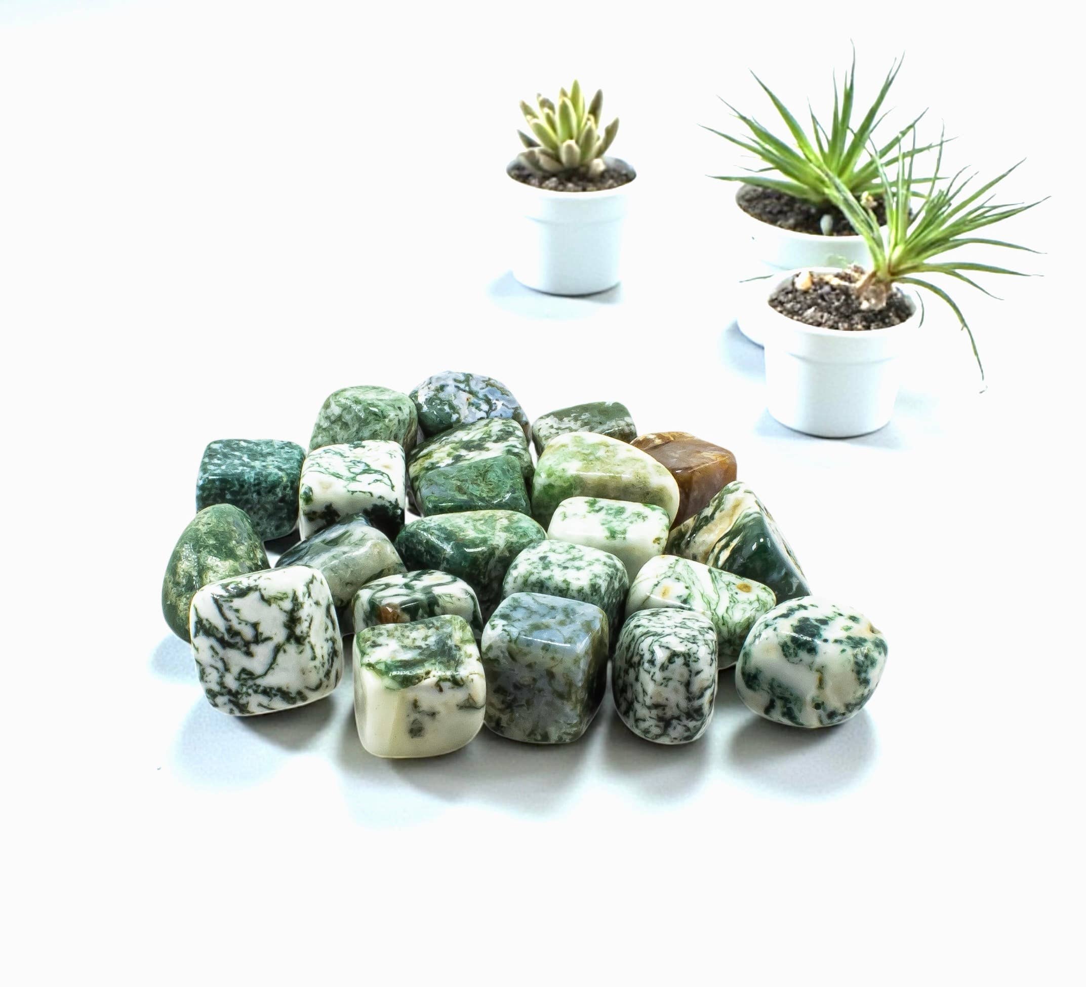 Quasar Gems USA - Wholesale Spiritual Stone/Crystal - Moss Agate Tumbled 20-30mm 1KG0