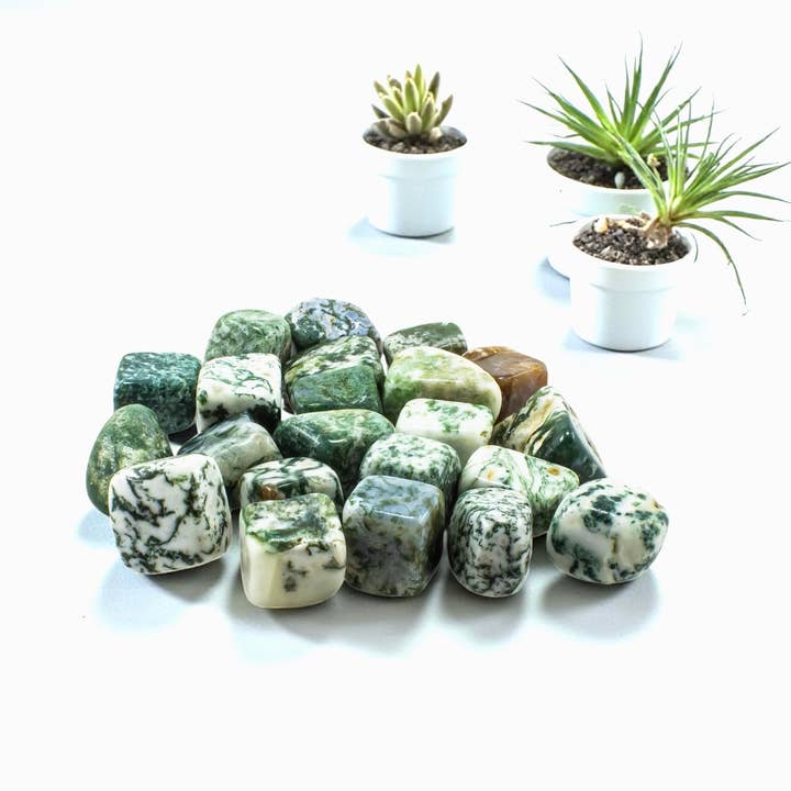 Moss Agate Tumbled 20-30mm 1KG for wholesale by Quasar Gems USA