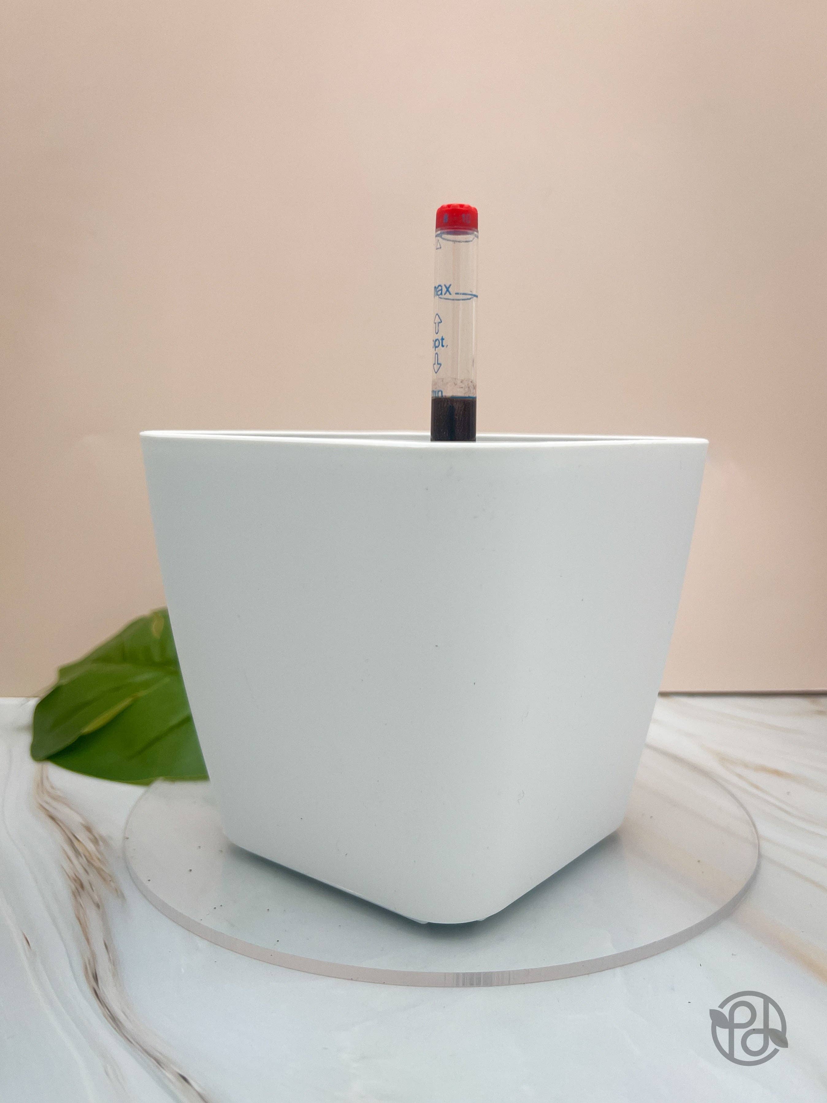 Propagation Diaries - Wholesale Plant Pot - 6" Self Watering Moo Pot0