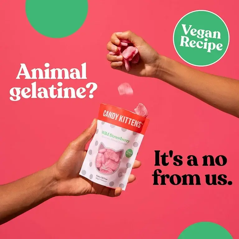 Belgium's Chocolate Source - Wholesale Gummy - Candy Kittens Wild Strawberry,140g./4.9 oz. Pouches cs 103