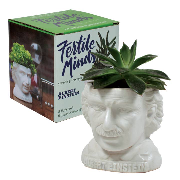 Albert Einstein Planter for wholesale by Unemployed Philosophers Guild