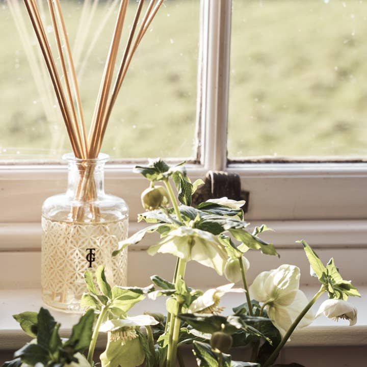 True Grace Europe - Wholesale Reed Diffuser - Green Tea & Citrus 200ml Room Diffuser Set