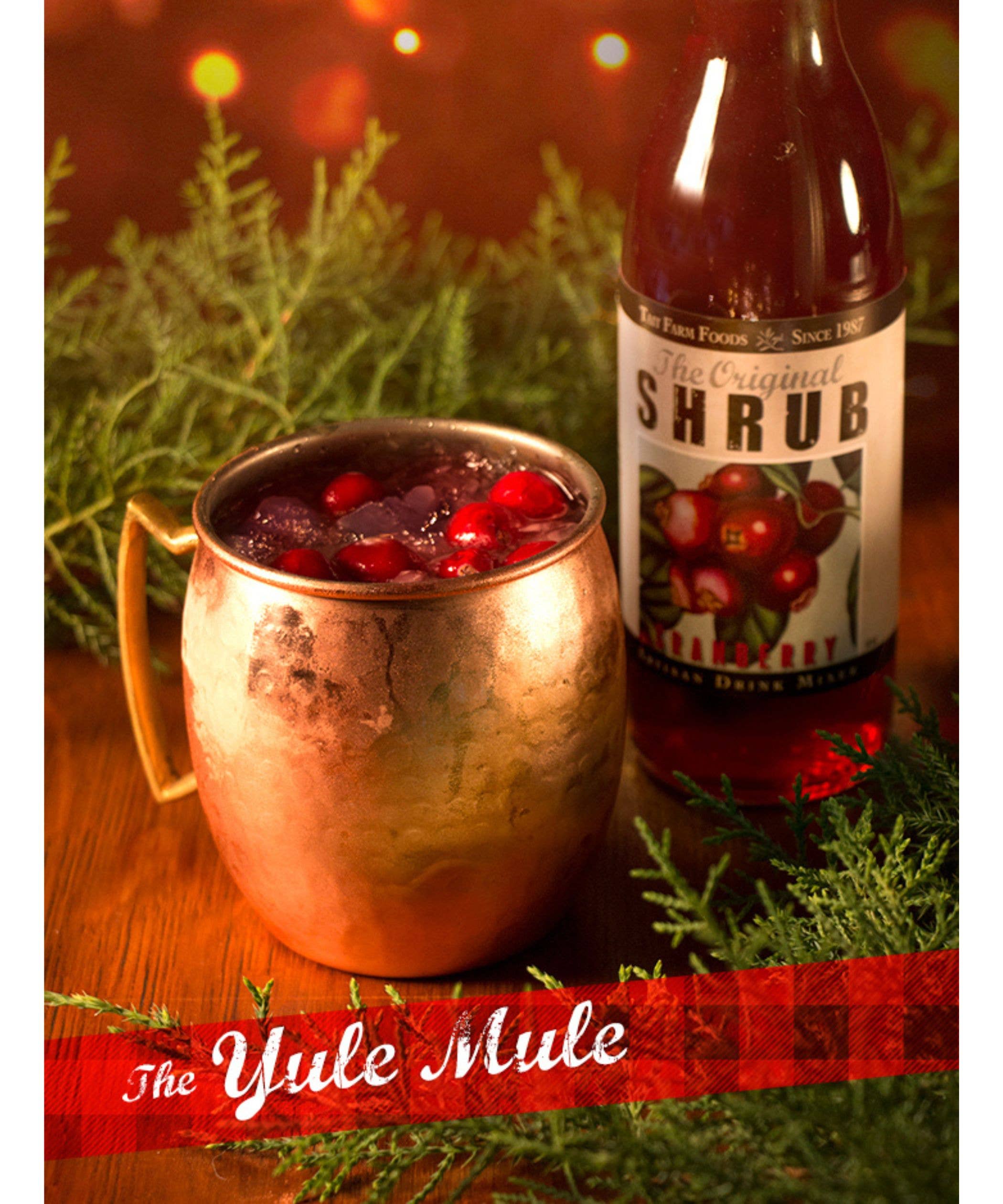 Tait Farm Foods - Wholesale Cocktail Mix/Syrup - Spiced Cranberry Orange Shrub6