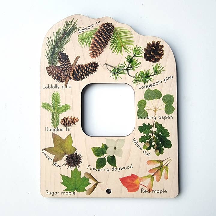 Dupla face Janela Explorador Árvores e trilhos por atacado de Mirus Toys