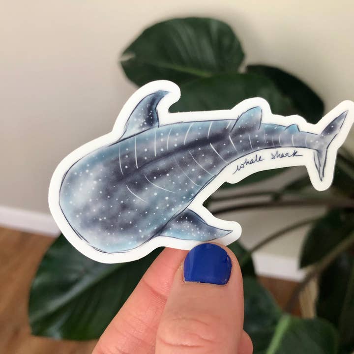 Whale Shark Sticker / Ocean Sticker / Animal Sticker for wholesale by Laura K Maxwell