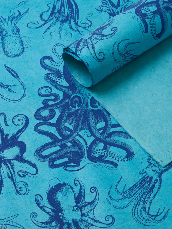 Carta da regalo con polpi e calamari (confezione da 6) per la vendita all'ingrosso da parte di Cognitive Surplus