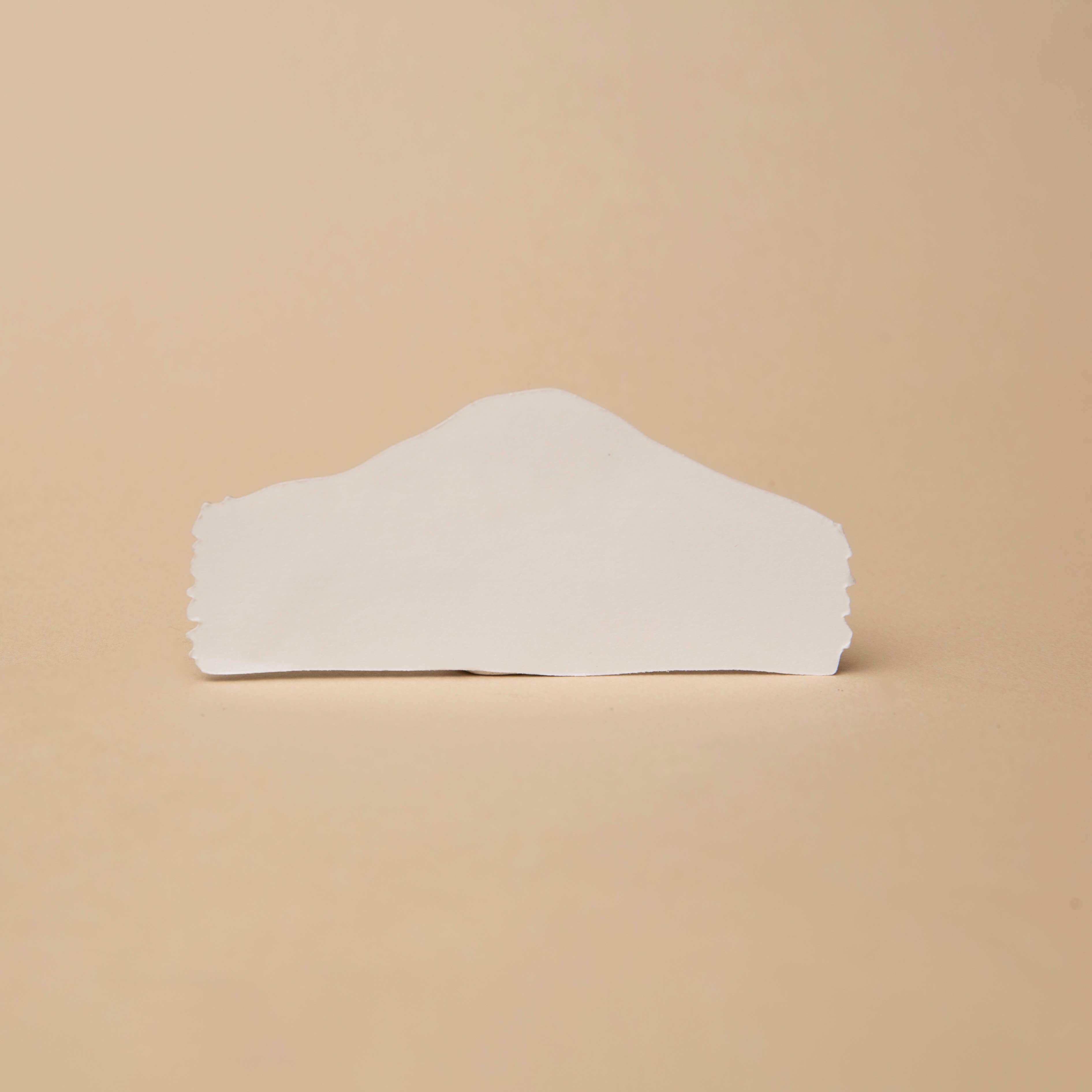 Tender Loving Empire - Wholesale Sticker - Mountain PNW Sticker2