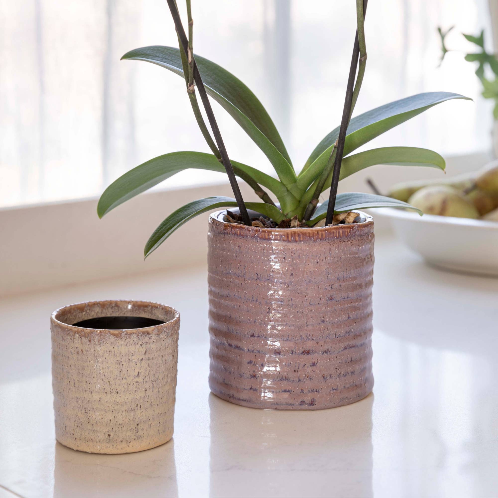 Ivyline – wholesale Indoor pot – Chambray Reactive Glaze Ceramic Indoor Planter In Ivory3