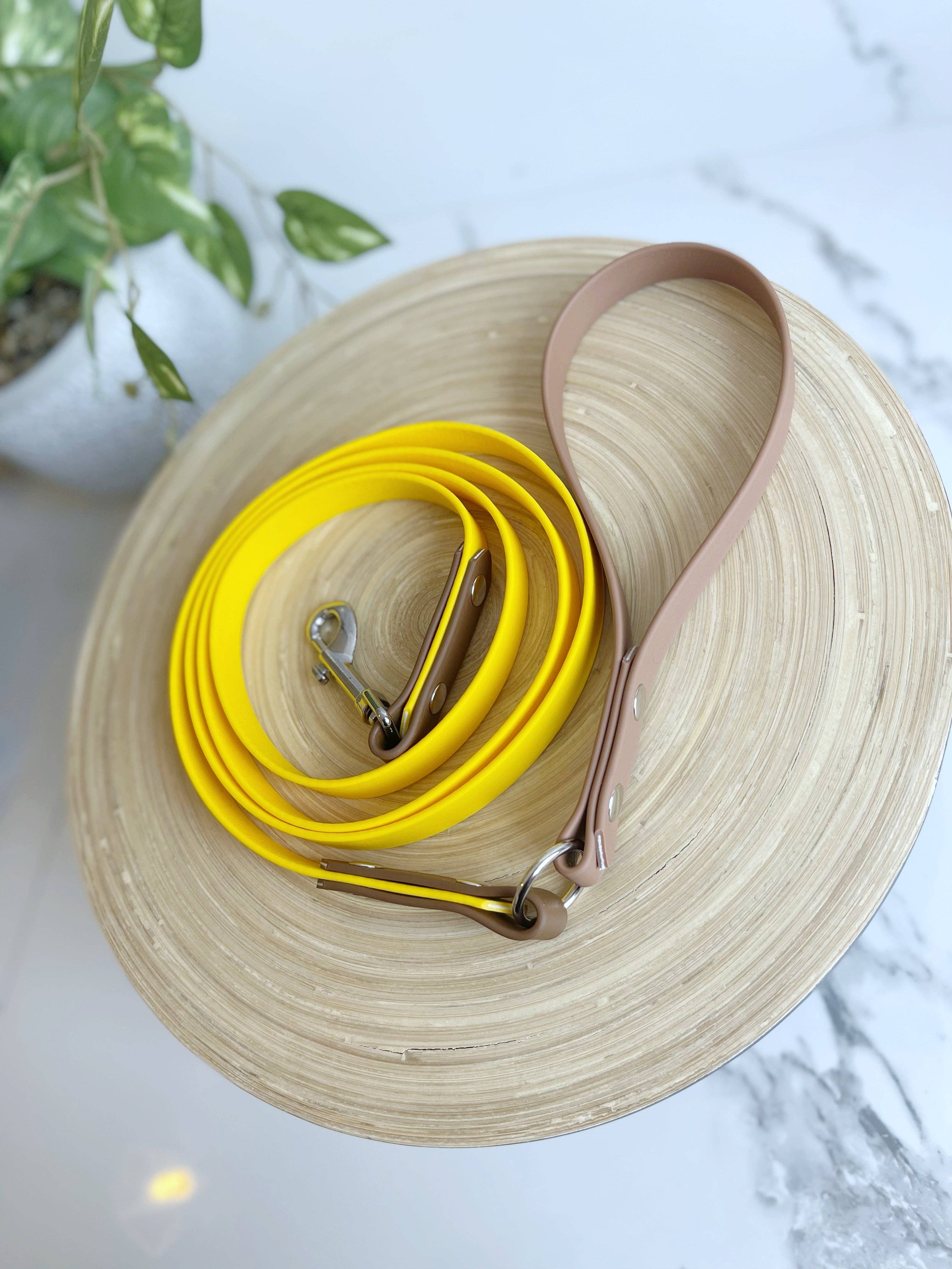 My Pawchella - Wholesale Hondenriem - Hond - *Ontwerp je eigen* biothane / gekleurde nylon hondenriem17